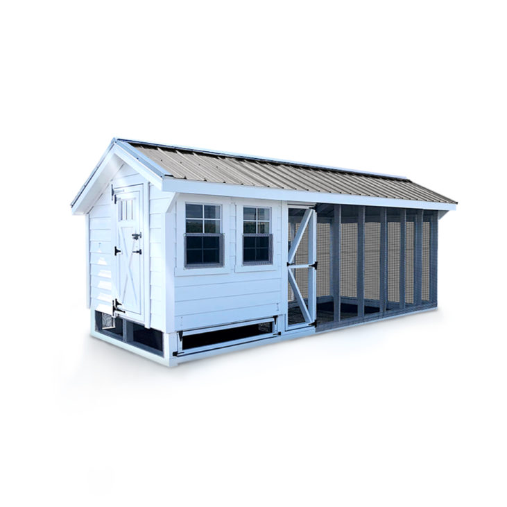 Large walk-in backyard chicken coop with lapp siding white trim, white painted siding and a brown-bronze metal roof, two windows in front, a very big chicken run with a roof over it and a transom window person door on the left side.