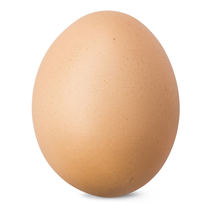 Light brown chicken egg without background in vertical position.